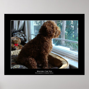 Poster "Vous Attendez"