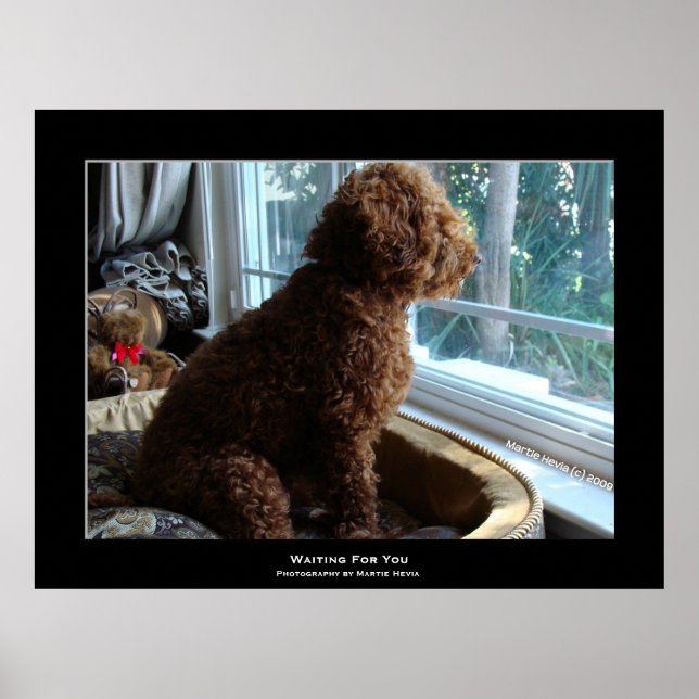 Poster "Vous Attendez" (Devant)