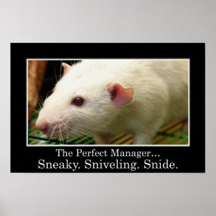 Poster Vous avez toutes les qualités d'un grand manager (