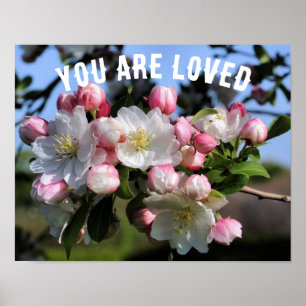 Poster Vous êtes aimés Blossoms Inspirationnel