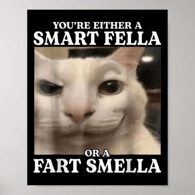 Poster Vous êtes un Fella intelligent ou un Fart Smella C (Devant)