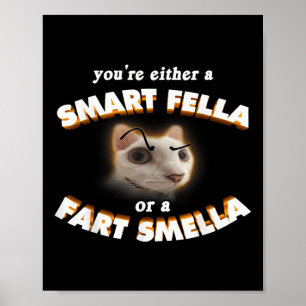 Poster Vous êtes un type intelligent ou un renifleur de p