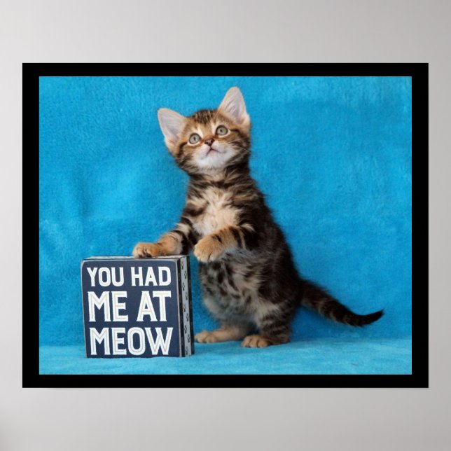 Poster Vous m'aviez chez Meow Bengal Kitten (Devant)