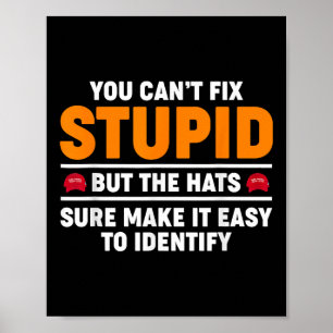 Poster Vous ne pouvez pas réparer stupide mais les chapea