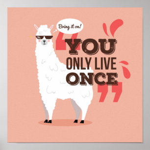Poster Vous ne vivez qu'une fois Llama
