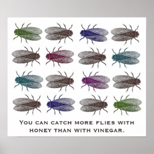 Poster Vous pouvez attraper le plus vole avec du miel que