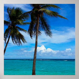 Poster Voyage en famille Plage vacances Guadeloupe Caraïb