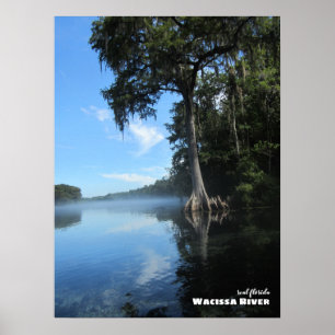 Poster Voyage Floride - Ancien cyprès, rivière Wacissa