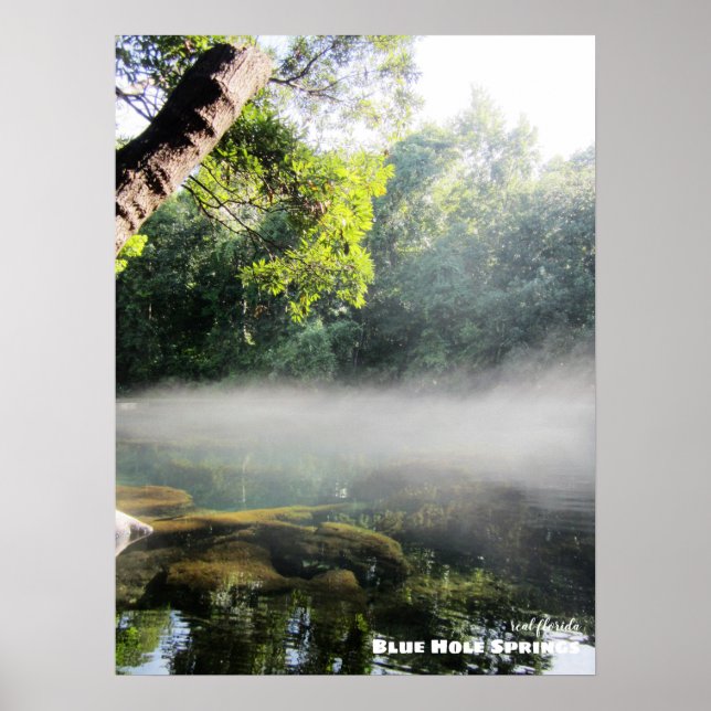 Poster Voyage | Floride - Blue Hole Springs Foggy Morning (Devant)
