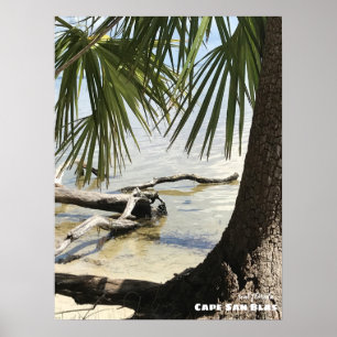 Poster Voyage   Floride - Cape San Blas Driftwood