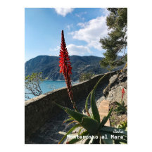 Voyage | Italie