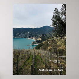 Poster Voyage | Italie - Monterosso Winter Vineyard