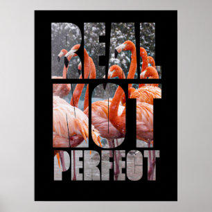 Poster Vraie Citation Pas Parfaite Flamant rose Oiseaux t
