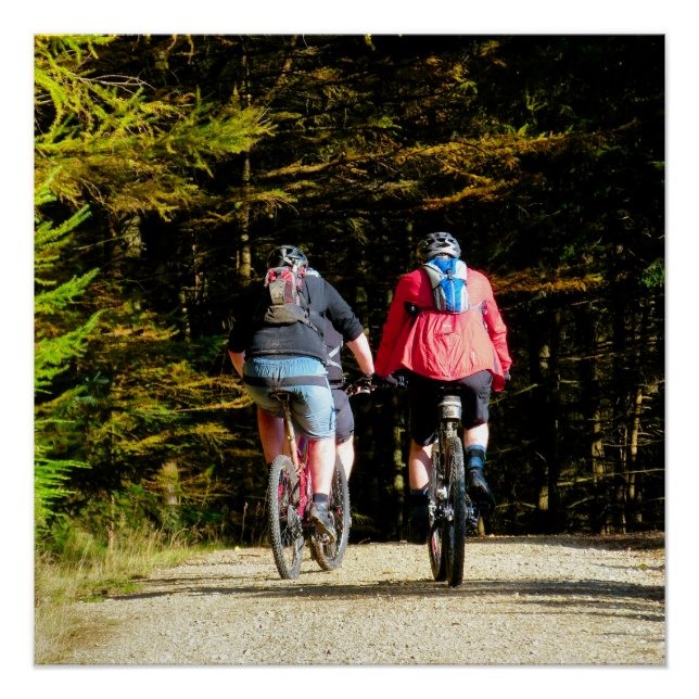 POSTER VTT (Devant)