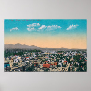 Poster Vue aérienne du d'Alene de CityCoeur,
