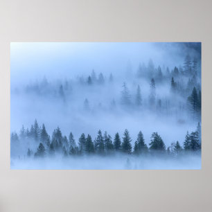 Poster Vue aérienne paysage forêt dans le brouillard