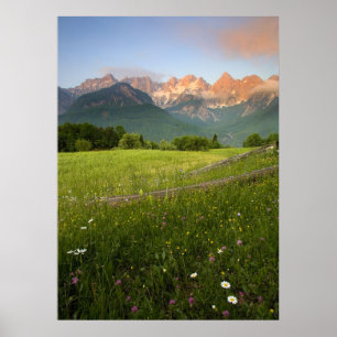 Poster Vue Alpes Julian