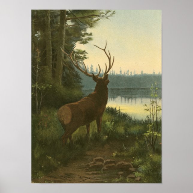 Poster Vue arrière du lac Elk Vue sur un lac (Devant)
