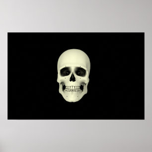 Poster Vue Avant Du Crâne Humain
