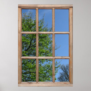 Poster Vue d'arbre feuillu depuis une fenêtre
