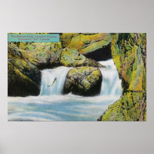 Poster Vue de canyon de Capilano de saumon sautant en