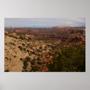 Poster Vue de Canyonlands depuis le sentier Neck Springs