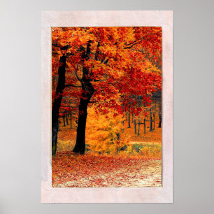 Poster Vue de la fenêtre Bright Forest Fall