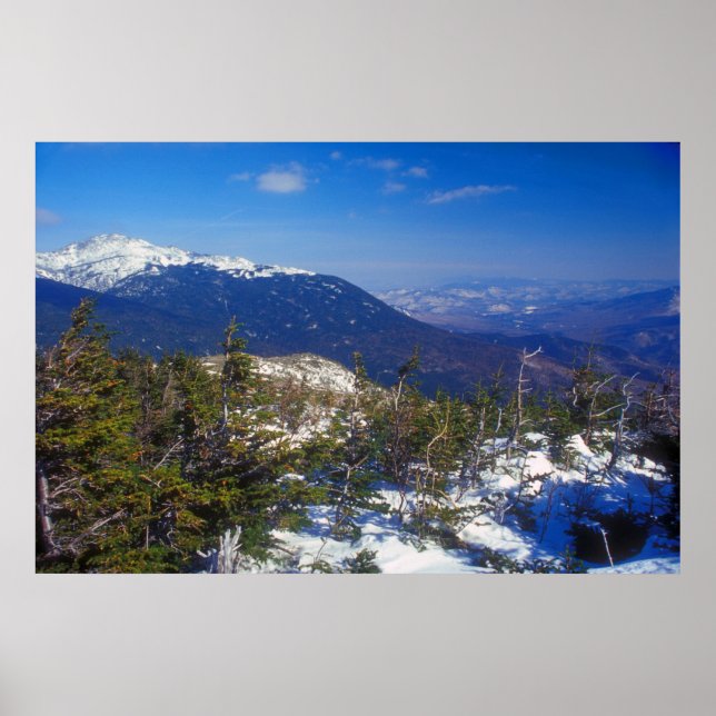 Poster Vue de la forêt du mont Washington Winter (Devant)