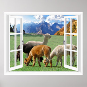 Poster Vue de la montagne Alpaca Paysage Vue de la fenêtr