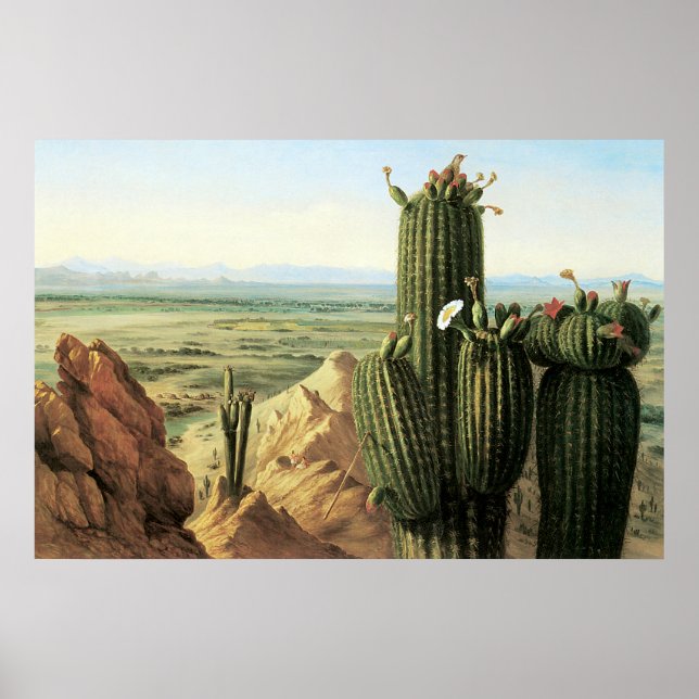 Poster Vue de la montagne Maricopa près de la rivière Gil (Devant)