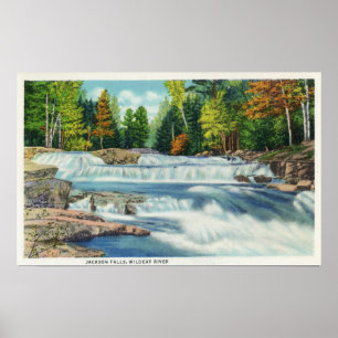Poster Vue de la rivière Wild Cat et des chutes Jackson