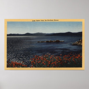 Poster Vue de lac des rivages du nord