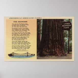 Poster Vue de Lanes Redwood Flat