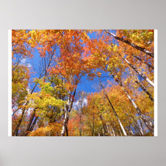 Poster Vue de l'automne