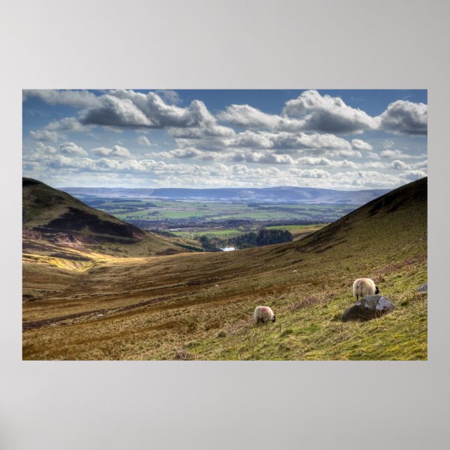Poster Vue de Pentland Hill à Édimbourg (Devant)
