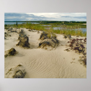 Poster Vue depuis une colline sablonneuse de lacs et de c
