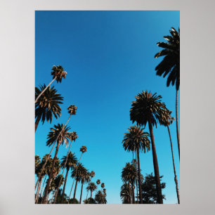 Poster Vue des arbres de Worm