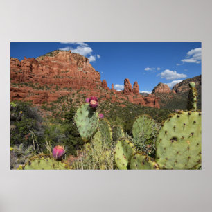 Poster Vue des buttes jumelles   Sedona, Arizona