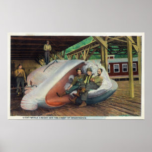 Poster Vue des chasseurs de baleines sur la baleine