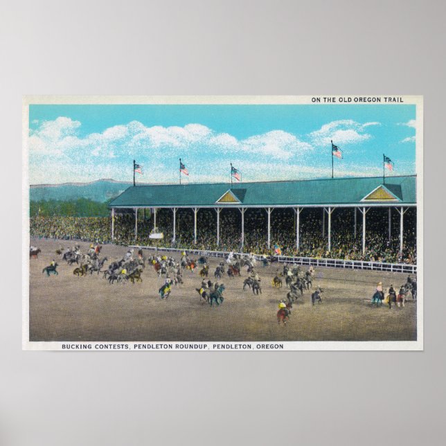 Poster Vue des concours de Bucking (Devant)