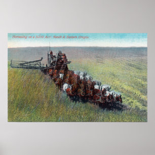 Poster Vue des fermiers récoltant avec un énorme cheval