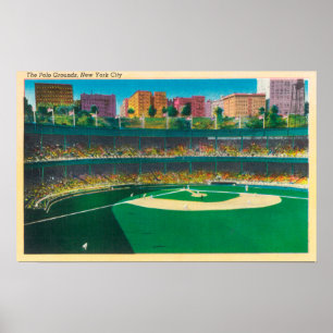 Poster Vue des terrains de poloNew York, New York
