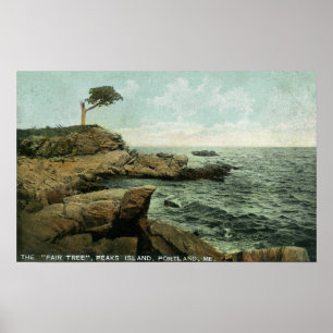 Poster Vue d'île de crêtes et de l'arbre de paires