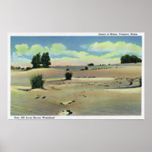 Poster Vue du désert du Maine