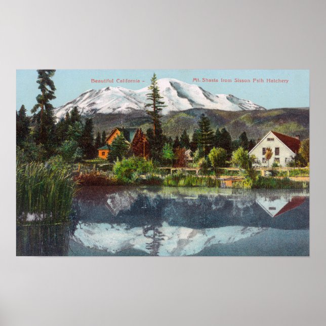 Poster Vue du mont Shasta de l'écloserie de poisson Sisso (Devant)