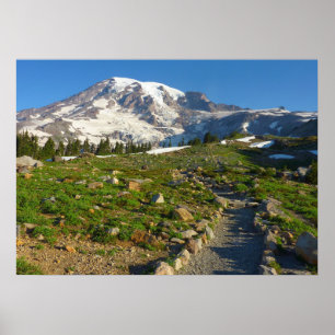 Poster Vue du sentier Skyline du mont Rainier