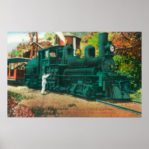 Poster Vue du train ferroviaire de Mt. Tamalpais