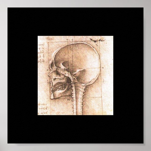 Poster Vue d'un crâne par Léonard de Vinci c. 1489 (Devant)
