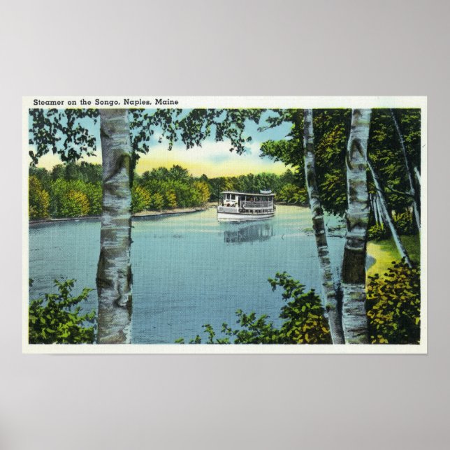 Poster Vue d'un vapeur sur la rivière Songo (Devant)