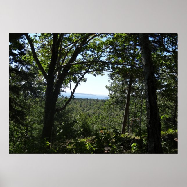 Poster Vue estivale du parc national de l'Acadie (Devant)